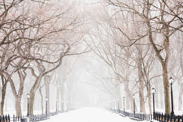 Central Park under snow